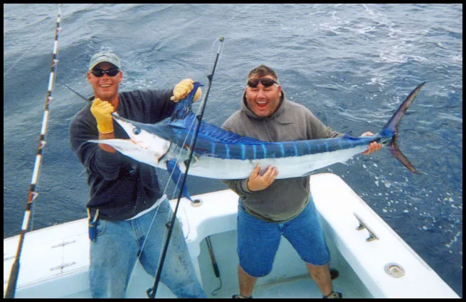 Think Like a Shark, Not a Fish: The Betting Psychology That Separates Winners from Bust-Outs